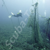 zenobia diving
